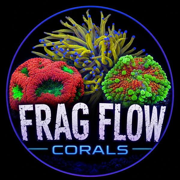 Frag Flow LLC