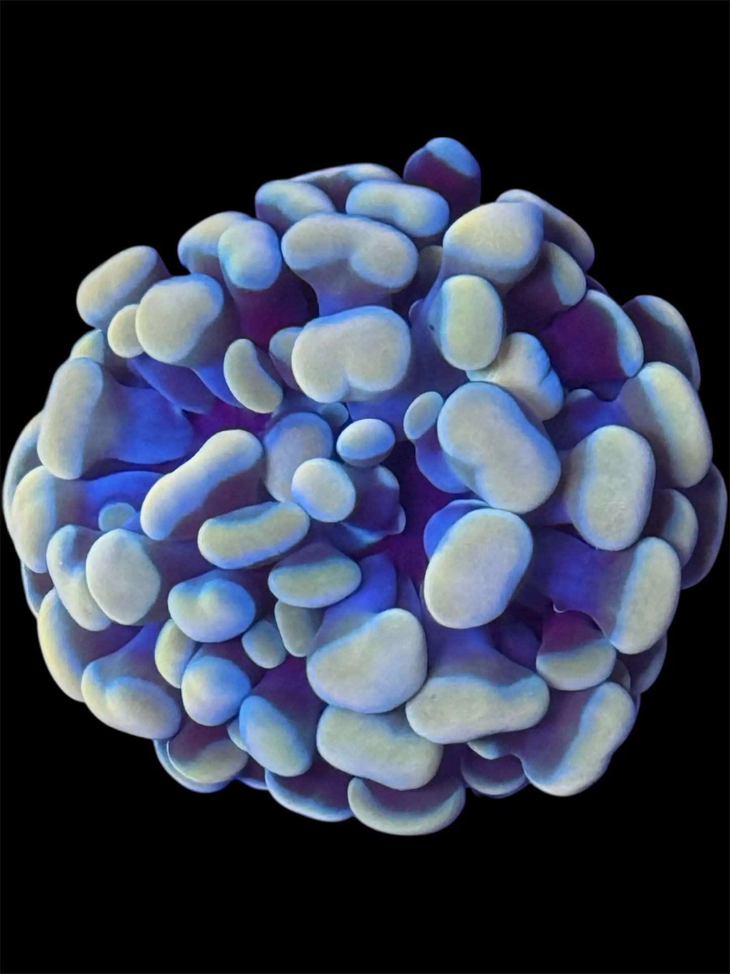 Gold Branching Hammer